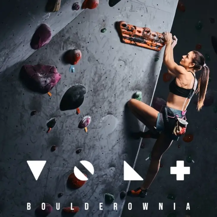 VOLT Ścianka Banner